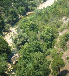 Limestone rock valley and river near Jeita Grotto in Lebanon. there are trees on both sides of the river.